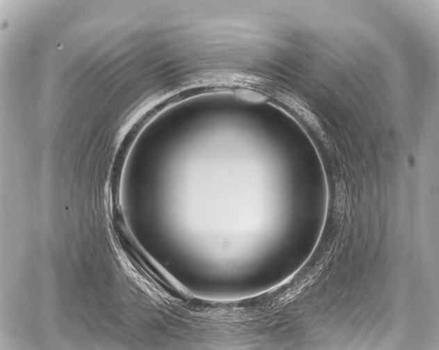 X0000059040936200510101006