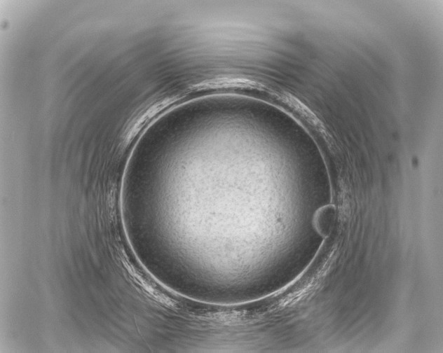 X0000059040937200510101006