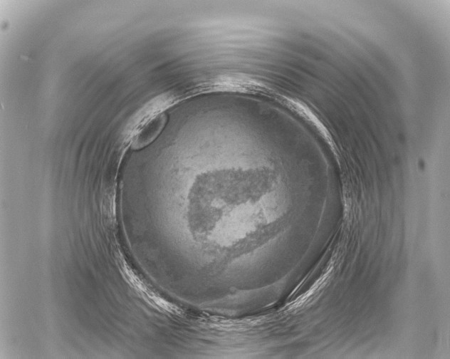 X0000059040938200510101006