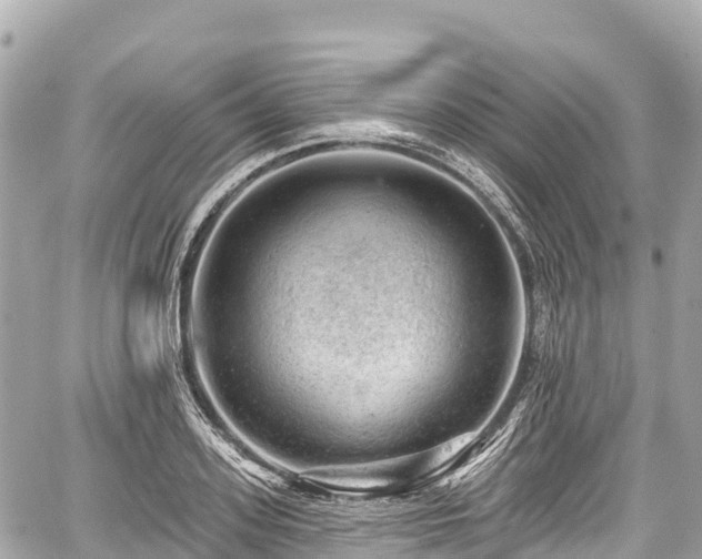 X0000059040939200510101006