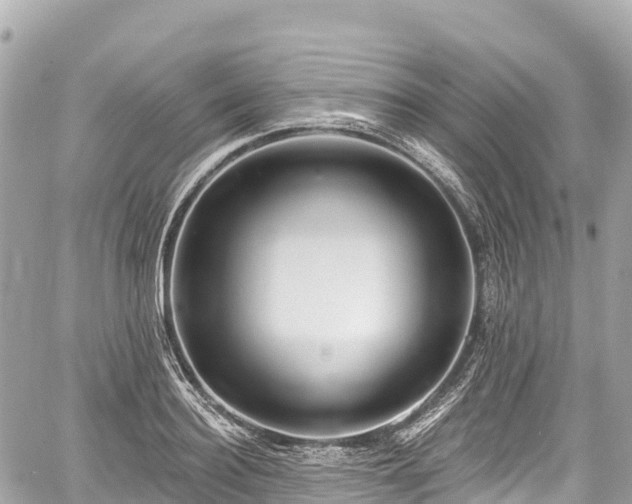 X0000059040940200510101006