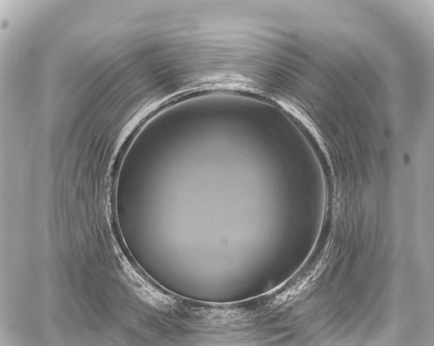 X0000059040941200510101006