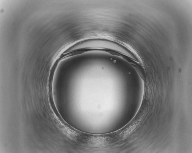 X0000059040943200510101006