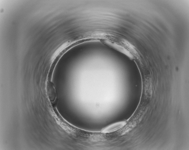 X0000059040944200510101006