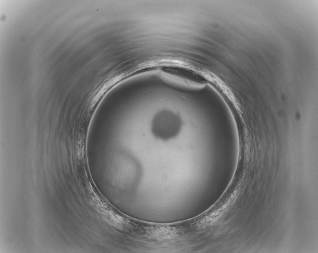 X0000059040945200510101006