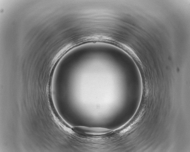 X0000059040946200510101006