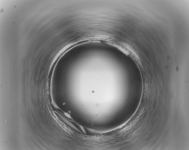 X0000059040948200510101006