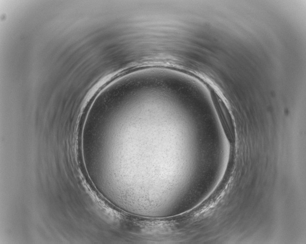 X0000059040949200510101006