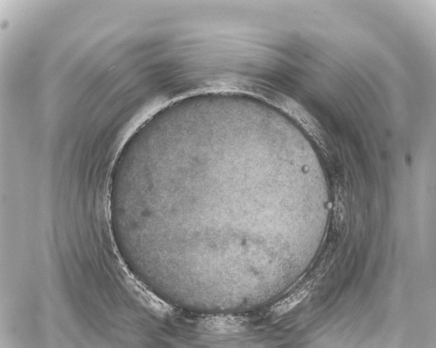 X0000059040950200510101006