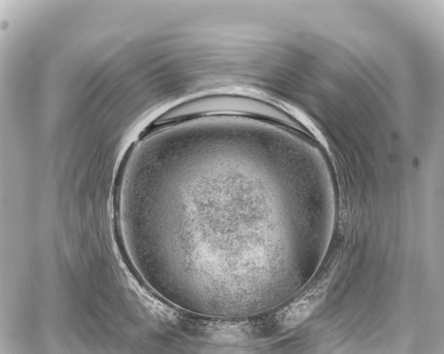 X0000059040951200510101006