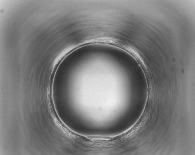 X0000059040952200510101006