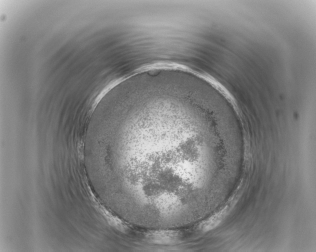 X0000059040953200510101006