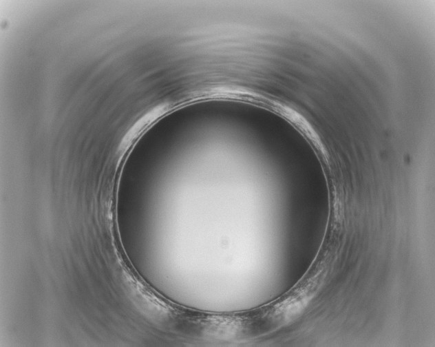 X0000059040954200510101006