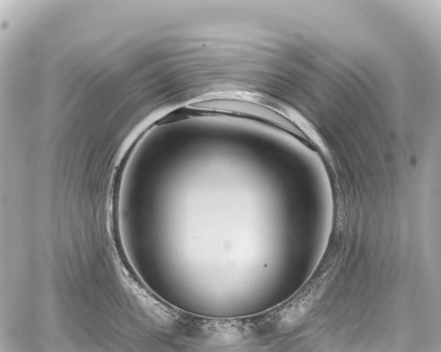 X0000059040955200510101006