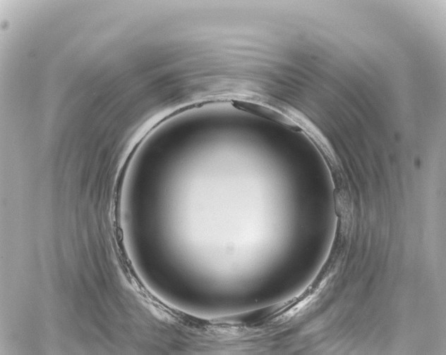 X0000059040956200510101006