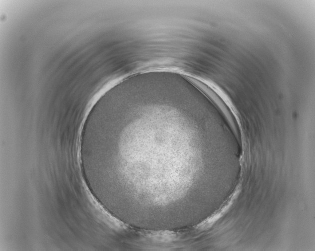 X0000059040957200510101006