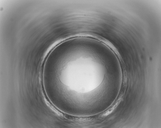 X0000059040958200510101006