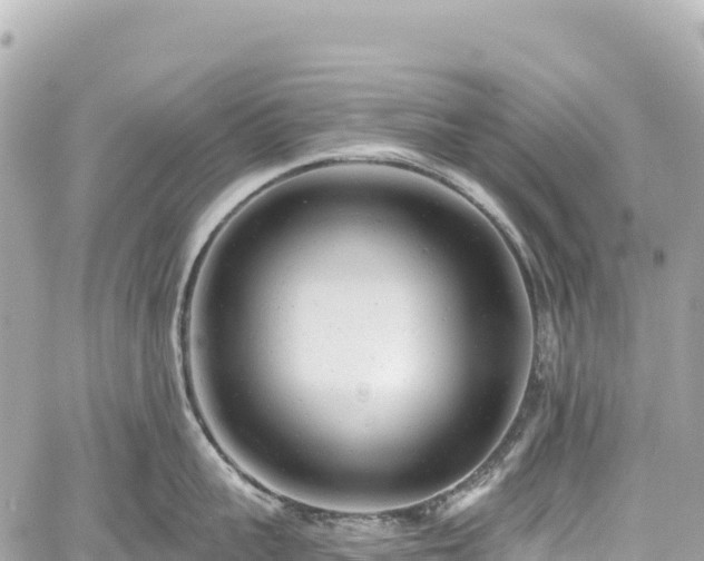 X0000059040959200510101006