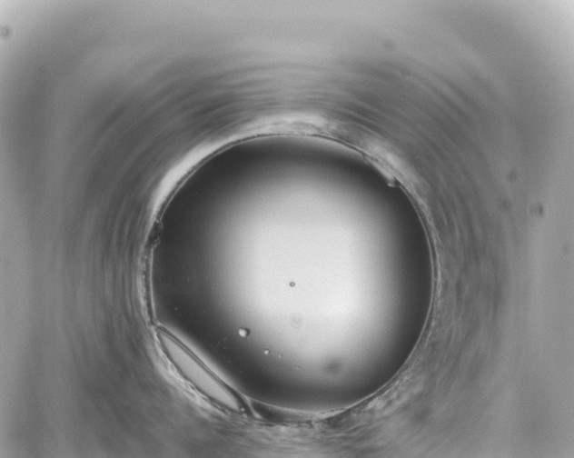 X0000059040960200510101006