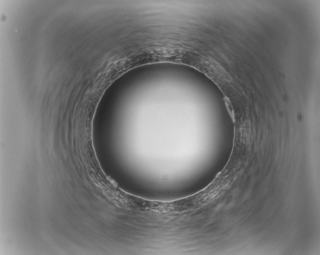 X0000059040961200510101006