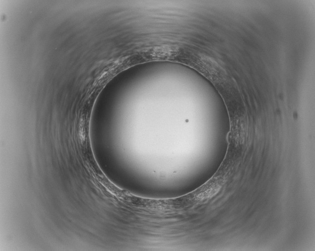 X0000059040962200510101006