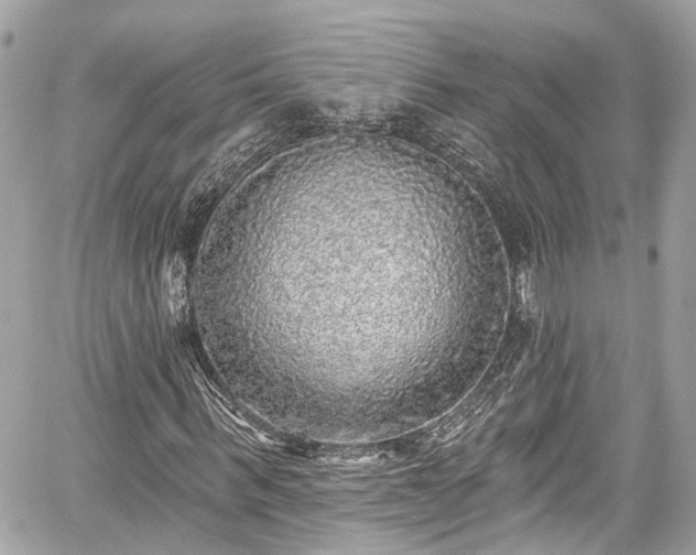 X0000059040963200510101006