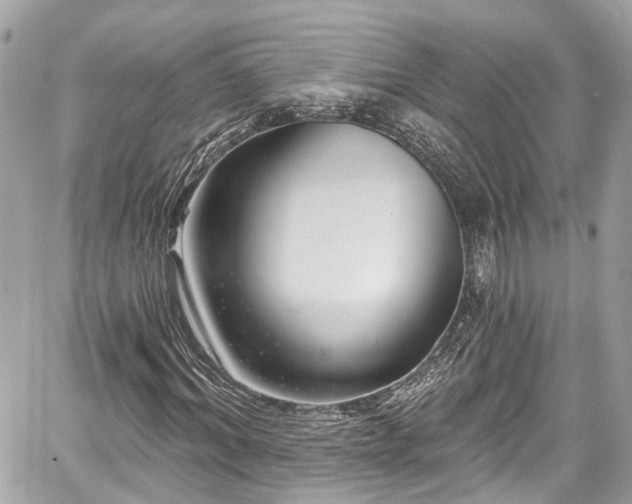 X0000059040964200510101006