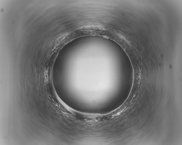 X0000059040965200510101006