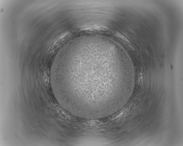 X0000059040966200510101006