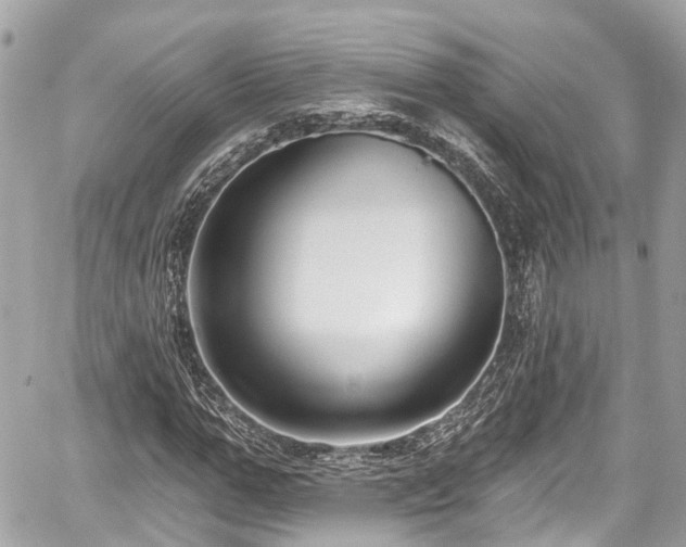 X0000059040967200510101006