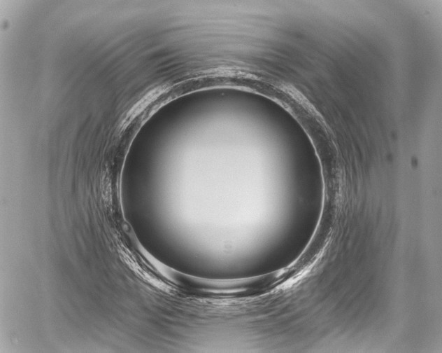 X0000059040969200510101005