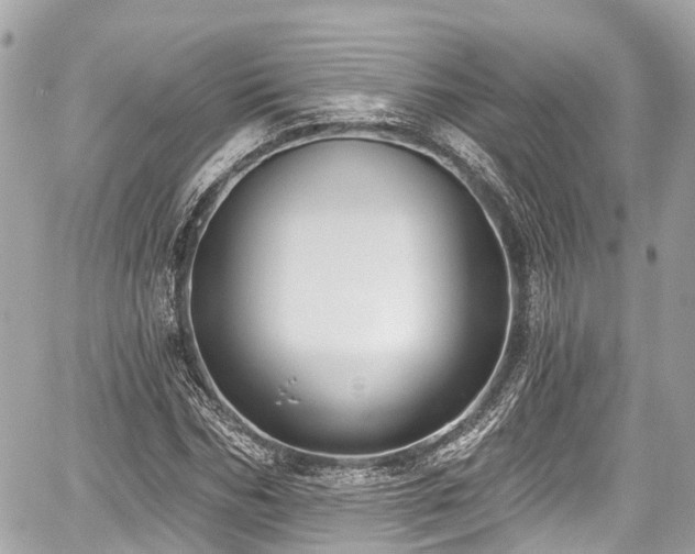 X0000059040970200510101005