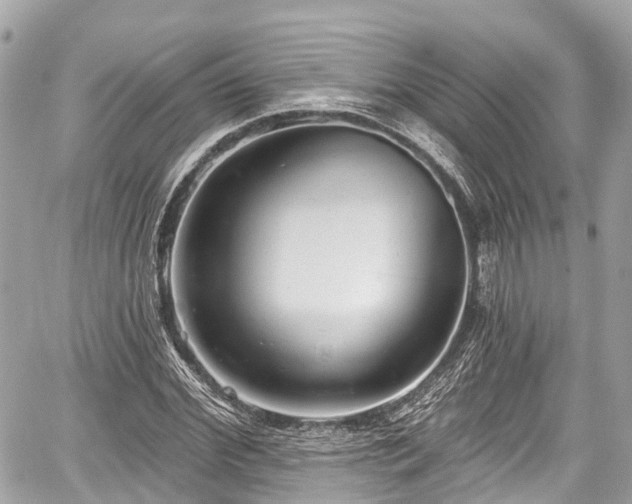 X0000059040972200510101005