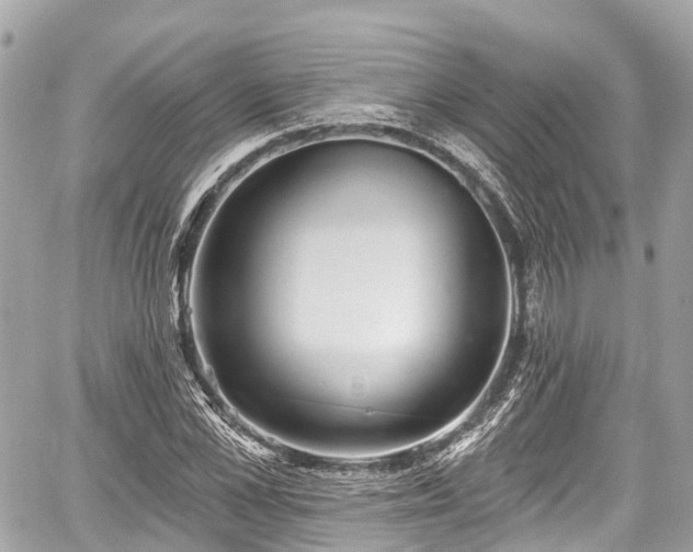 X0000059040973200510101005