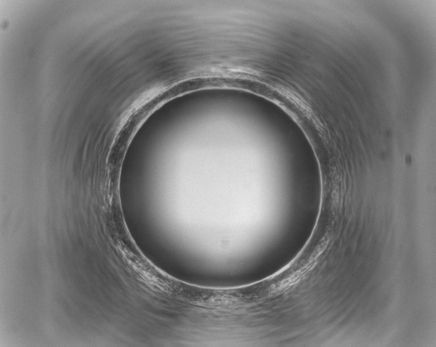 X0000059040974200510101005