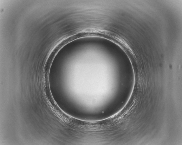 X0000059040976200510101005