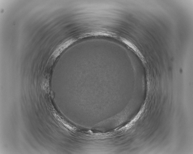 X0000059040977200510101005