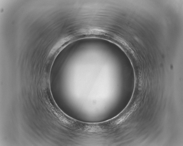 X0000059040978200510101005