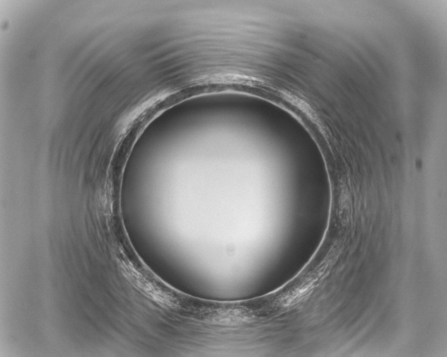 X0000059040979200510101005