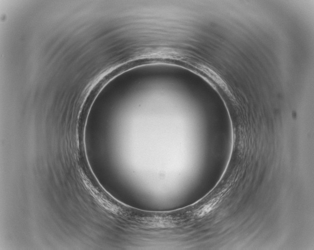 X0000059040980200510101005