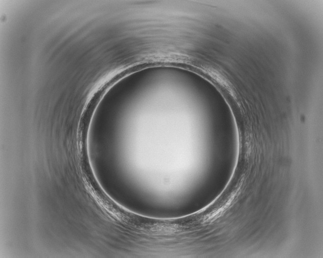 X0000059040981200510101005