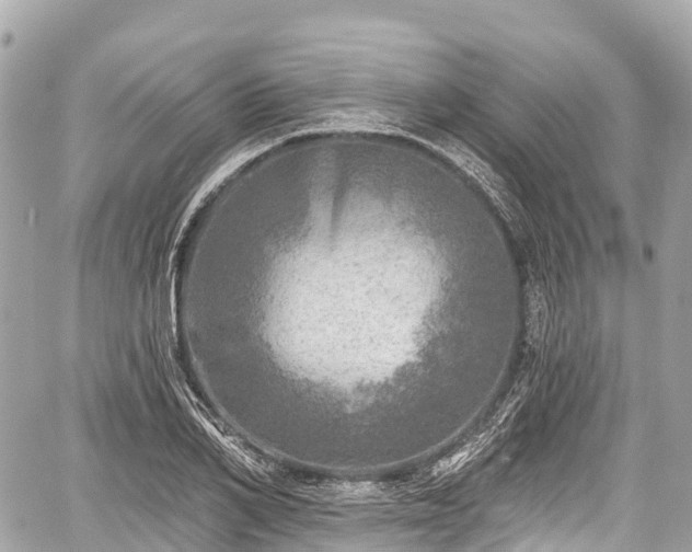 X0000059040982200510101005