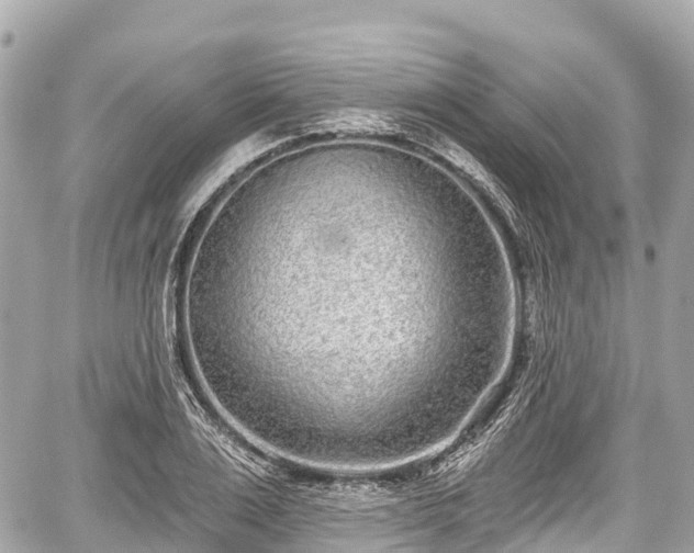 X0000059040983200510101005