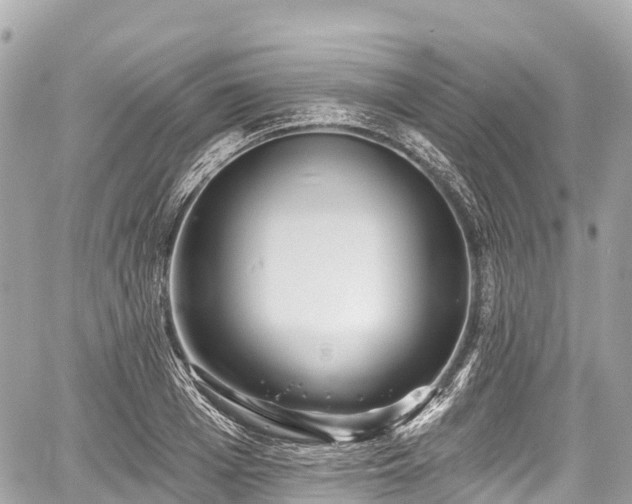 X0000059040985200510101005