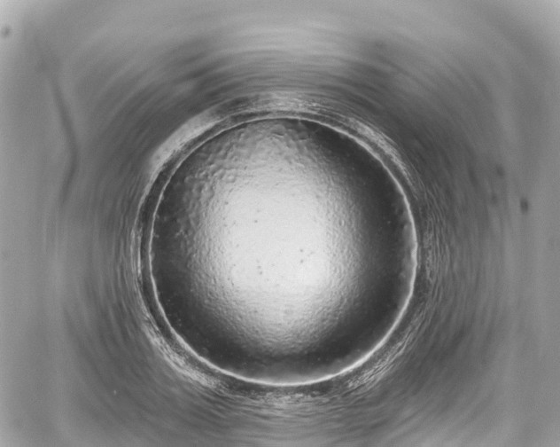 X0000059040987200510101005