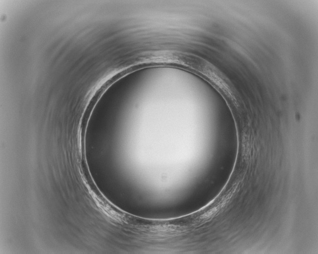 X0000059040988200510101005