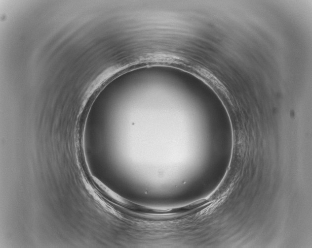 X0000059040989200510101005