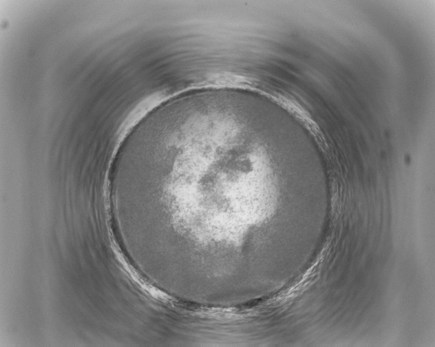 X0000059040990200510101005