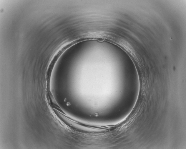 X0000059040992200510101005