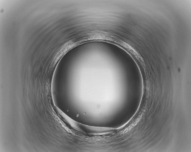 X0000059040993200510101005